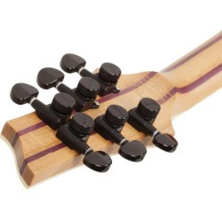 Guitarra Modelo C-1 Exotic Sm